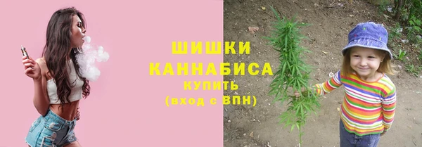 трава Белокуриха