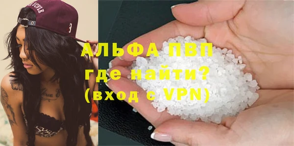 трава Белокуриха