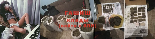 трава Белокуриха
