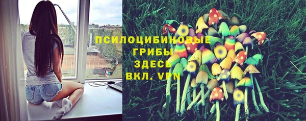 крисы Белоозёрский