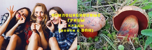 крисы Белоозёрский