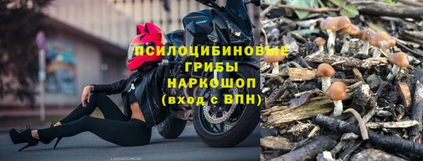крисы Белоозёрский