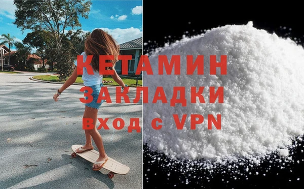 трава Белокуриха