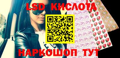 PSILOCYBIN Краснодар