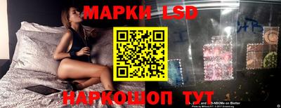 PSILOCYBIN Краснодар