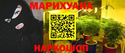 PSILOCYBIN Краснодар