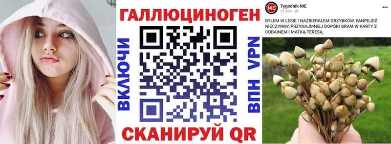 hydra   дарнет шоп  Бутурлиновка  Галлюциногенные грибы GOLDEN TEACHER 