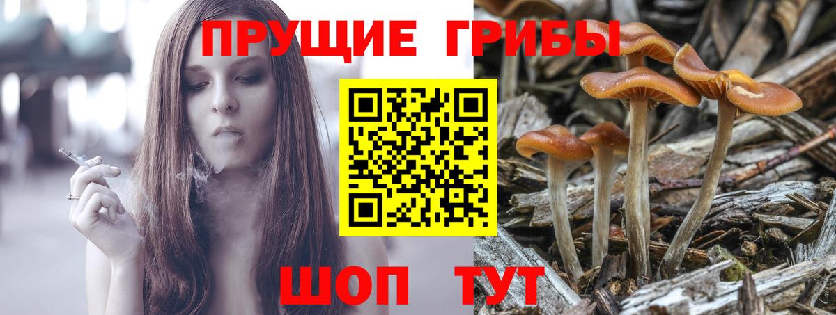 Псилоцибиновые грибы ЛСД  Вход с VPN  Бутурлиновка 