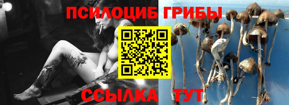 Галлюциногенные грибы Cubensis Бутурлиновка